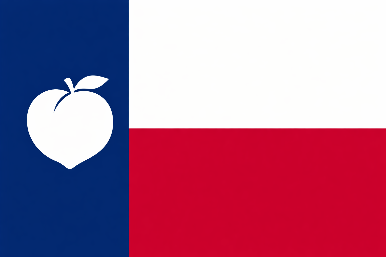 Texlanta flag backdrop